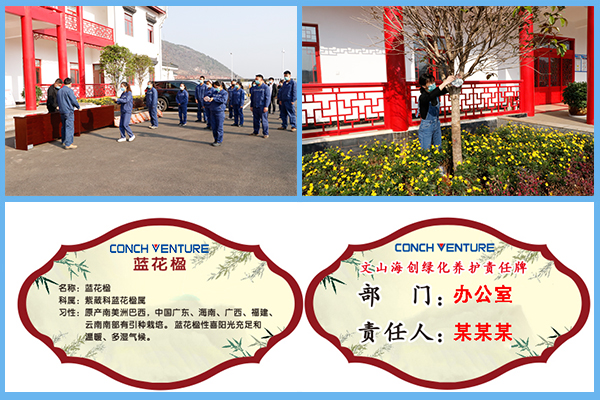 1584200667618194.jpg 3.jpg