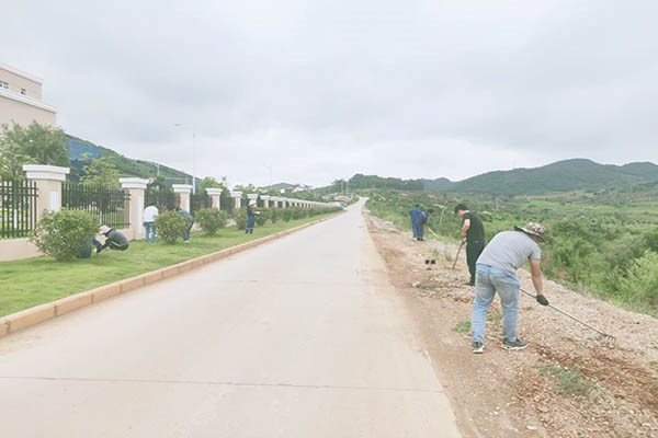 1594169505138794.jpg 1.jpg