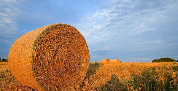 1600745613872798.png 圖片6.png