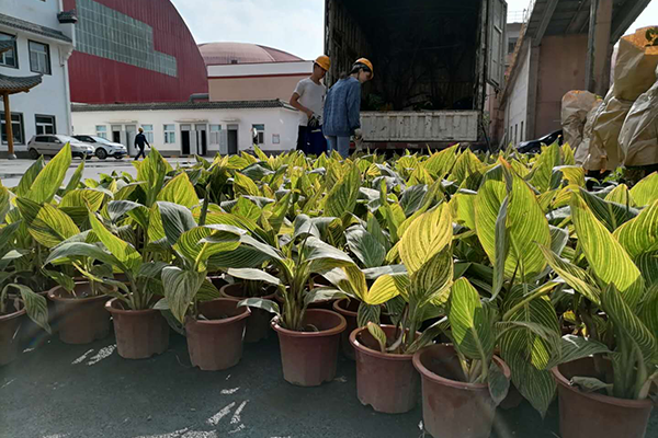 1604126091615690.png 8.png