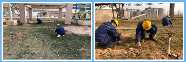 1614579544555941.png 1板.png