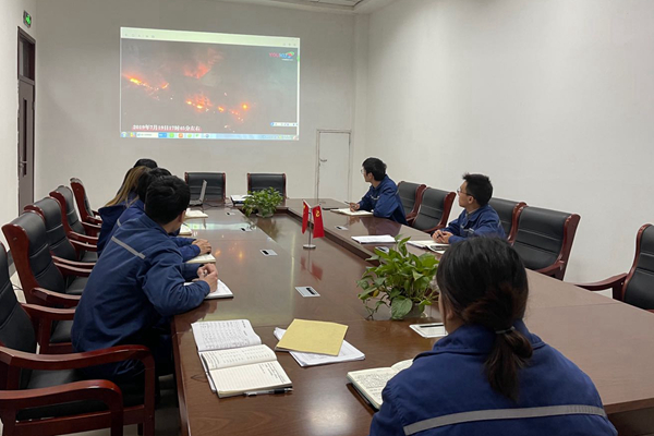 1617324115213273.jpg 4.jpg