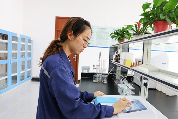 1635755585549645.jpg IMG_3978.JPG