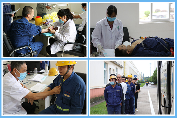 1636362339674794.jpg 2.jpg