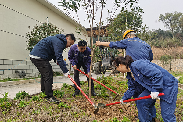 1647345108770137.jpg 1.jpg