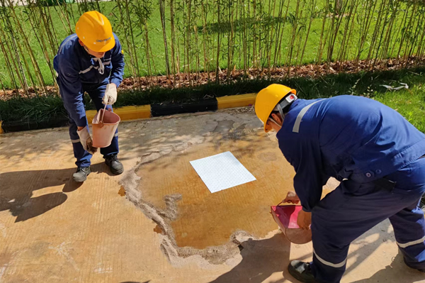 1655347321106817.png 圖片4.png