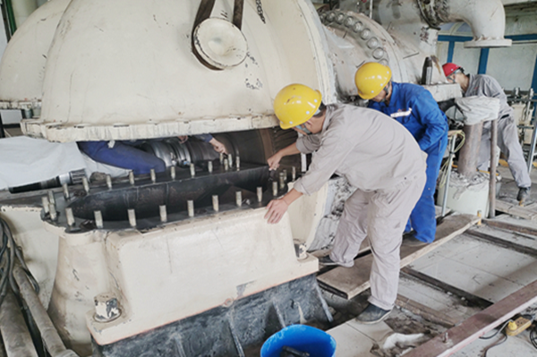 1659066639125238.png 莎車(chē).png