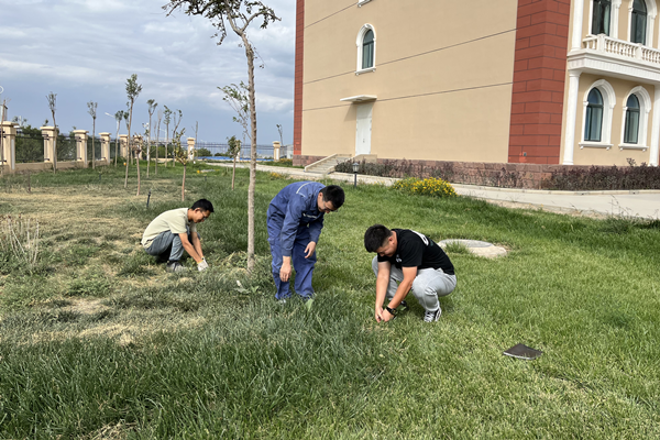 1662345075240330.png 圖片19.png