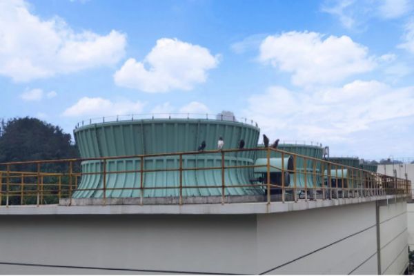 1717485730384997.jpg 2-4.jpg