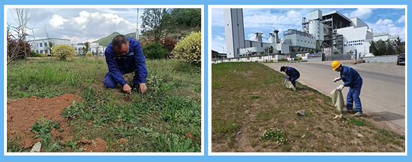 1745457917767294.png 二合一(橫)1.png